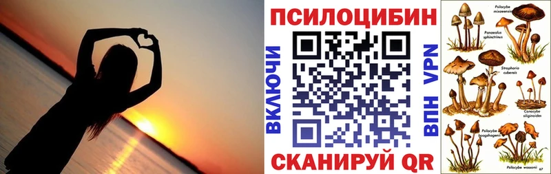 Галлюциногенные грибы GOLDEN TEACHER  купить наркотики цена  Чулым 
